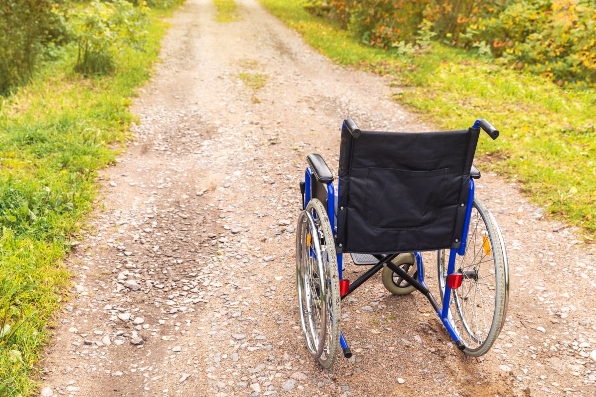 Una silla de ruedas ante un camino natural