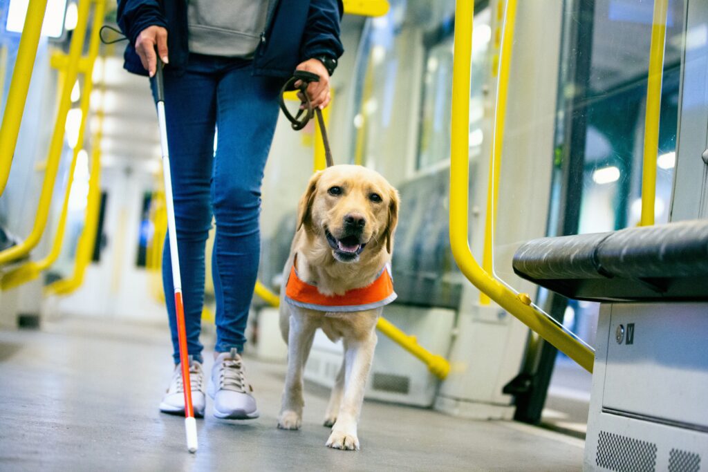 Una persona con su perro guía en el vagón de un tren.